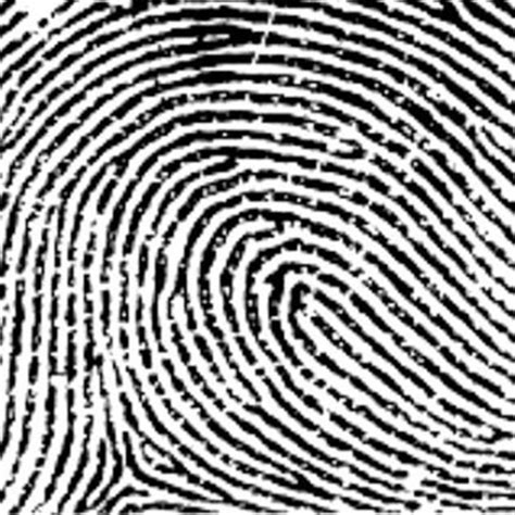 Fingerprinting in gainesville fl. Things To Know About Fingerprinting in gainesville fl. 